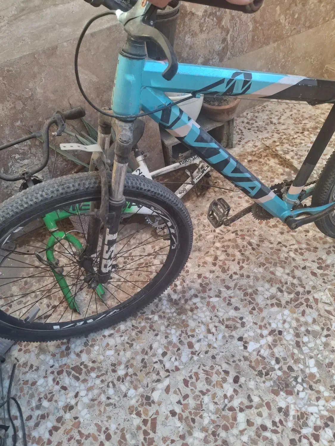 دوچرخه|دوچرخه، اسکیت، اسکوتر|شیراز, کوشک میدان|دیوار