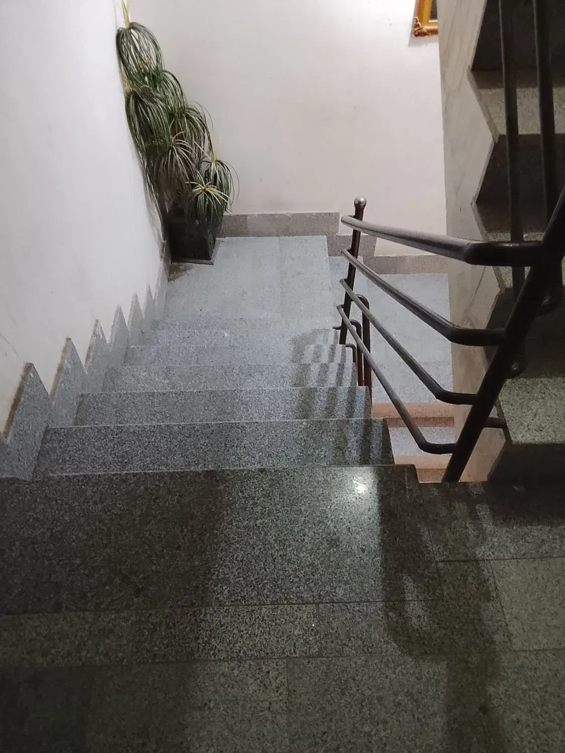 نظافت وشست شوی پارکینگ راه پله و حیاط|خدمات نظافت|مشهد, انصار|دیوار