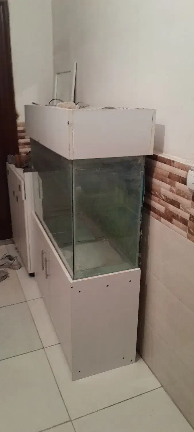 اکواریوم کمد دار|ماهی|کرج, شاهینویلا|دیوار