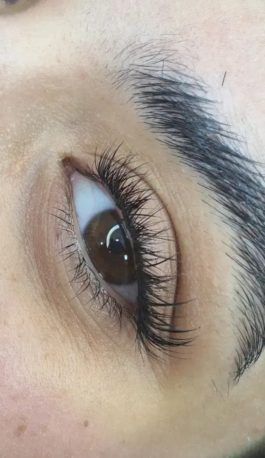 تخفیف ویژه کاشت مژه|خدمات آرایشگری و زیبایی|ایلام, |دیوار