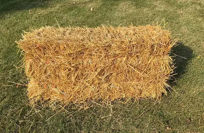 کاه کولش|حیوانات مزرعه|تالش, هشتپر|دیوار