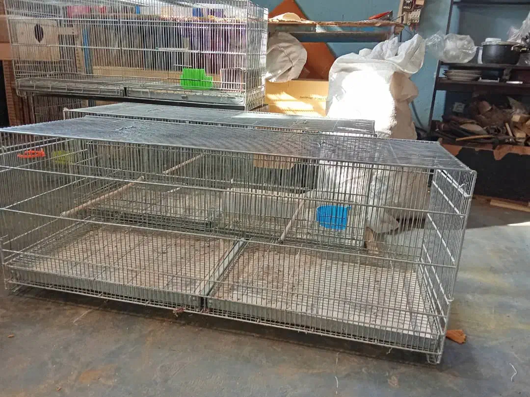 قفس پرنده بزرگ|لوازم جانبی حیوانات|رشت, کوی حسینی|دیوار