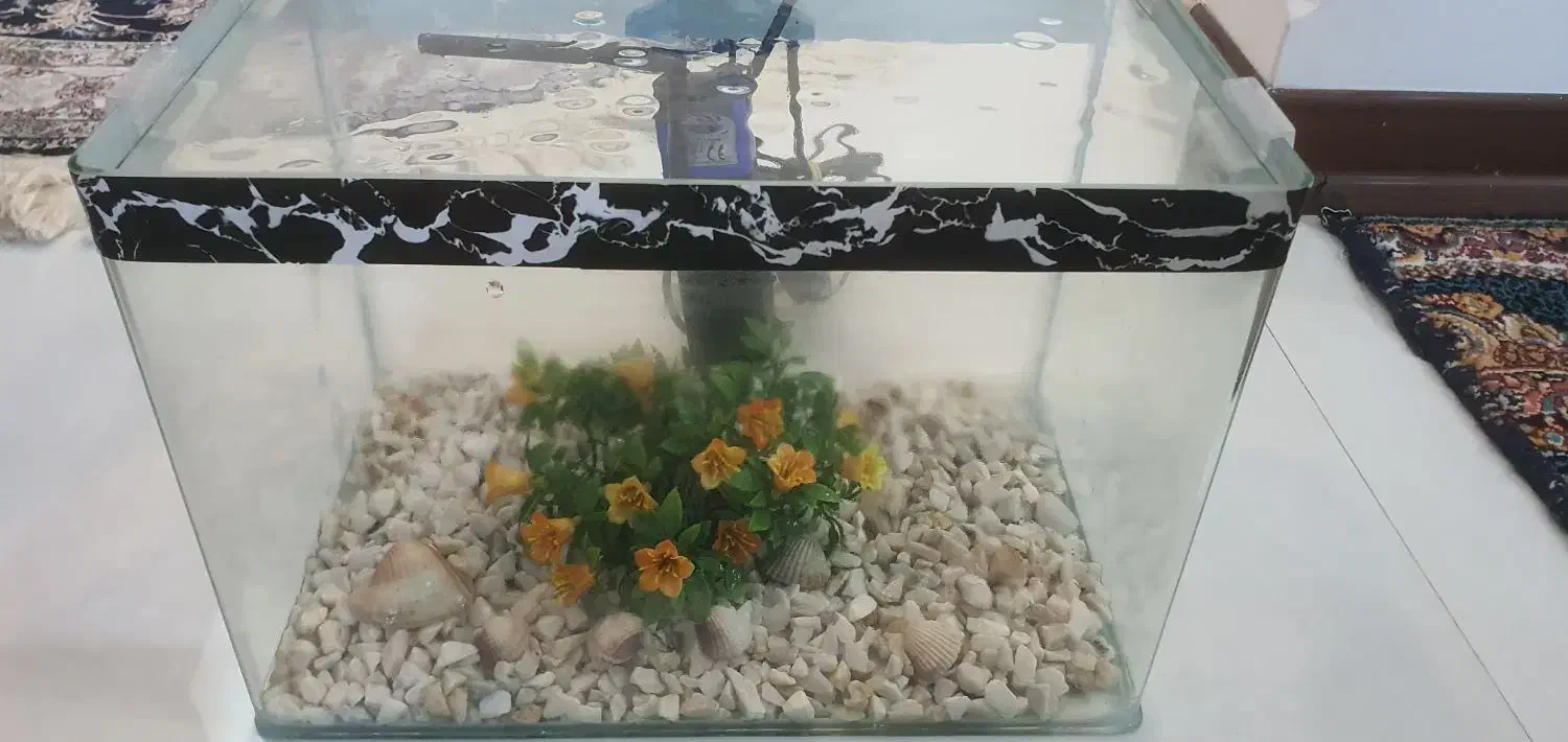 اکواریوم ۲۳×۳۵|ماهی|قم, زنبیل آباد|دیوار