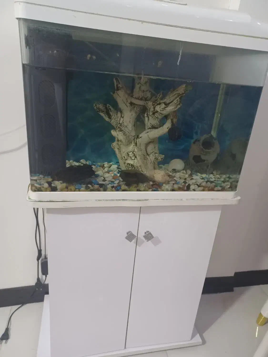 اکواریوم شرکتی شیشه خم|ماهی|چهاردانگه (تهران), |دیوار