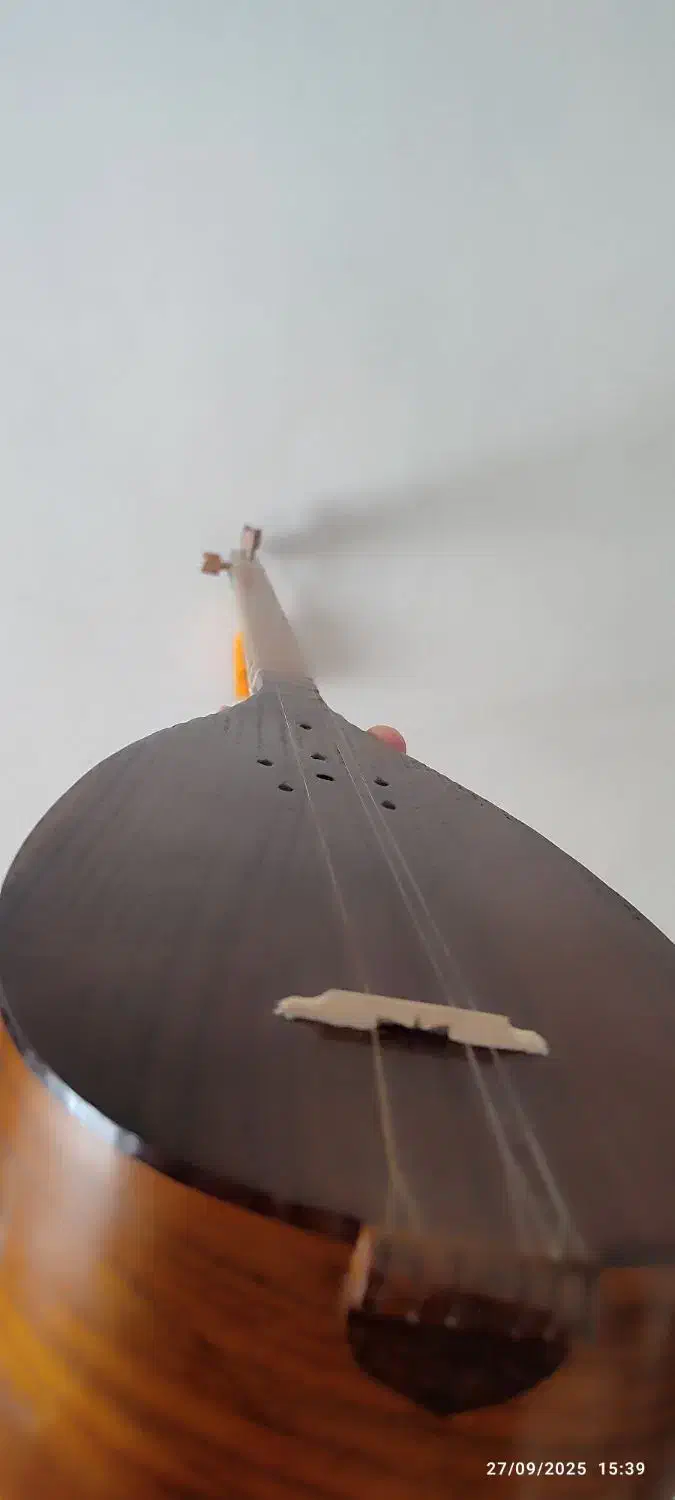 تنبور تک مهر مفاخری|سازهای سنتی|ایلام, |دیوار