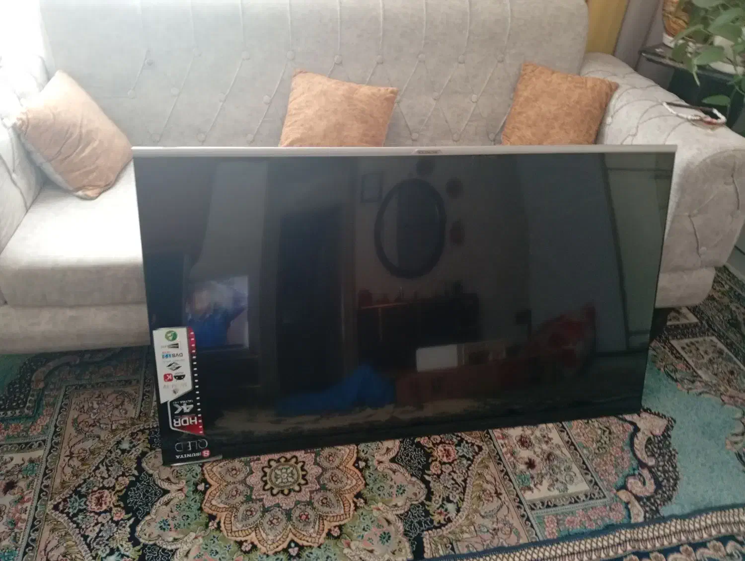 پنل تلوزیون شکسته|تلویزیون و پروژکتور|پرند, فاز ۵|دیوار