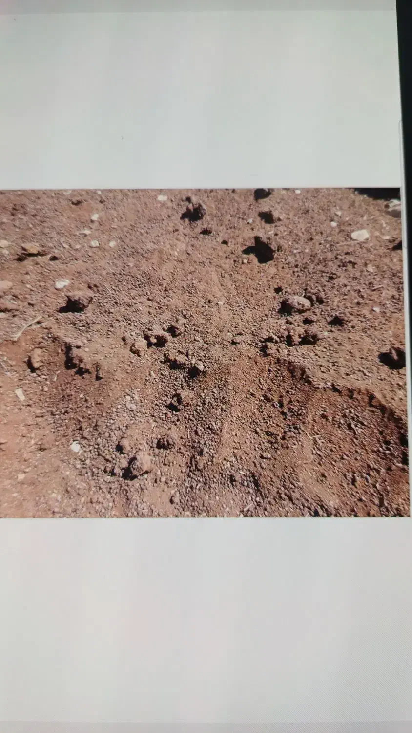 کود پوسیده گونی شده|لوازم جانبی حیوانات|برازجان, |دیوار