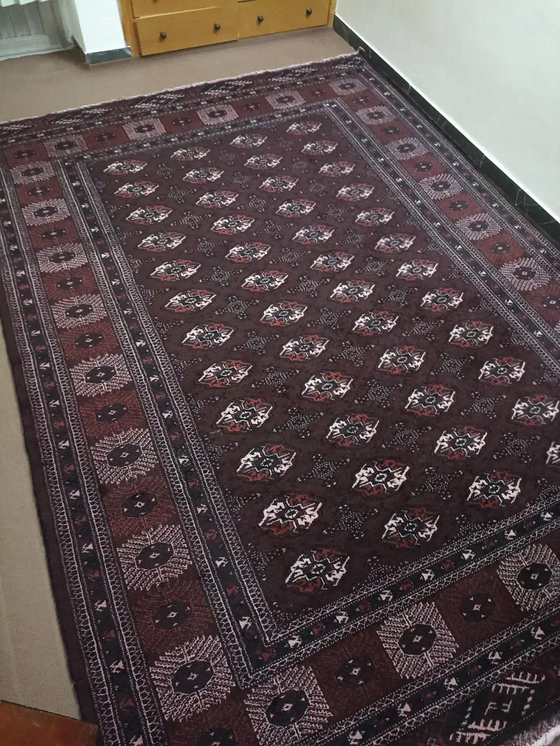 فرش دست بافت وماشینی|فرش|گنبد کاووس, |دیوار