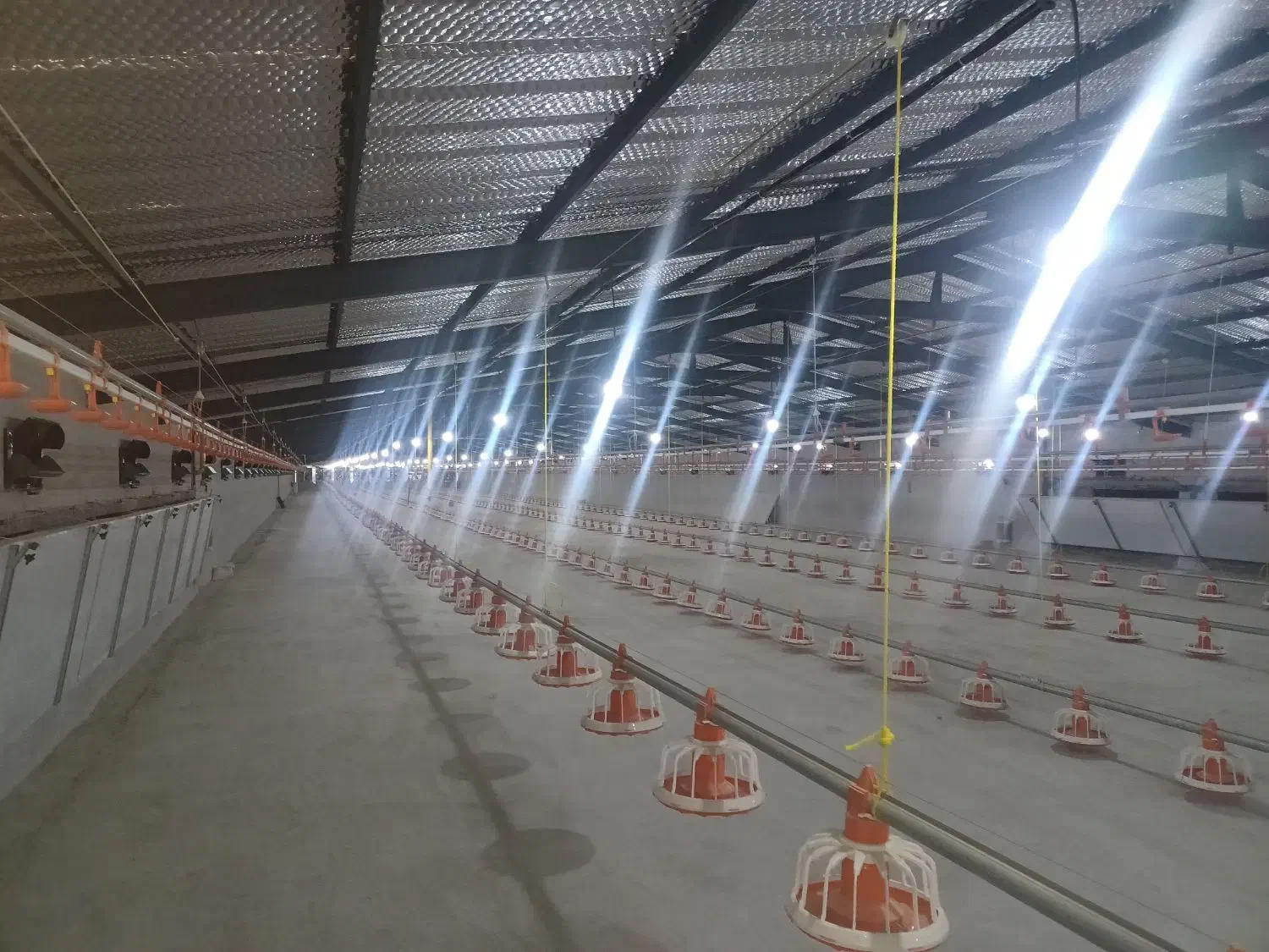 اجاره مرغداری گوشتی چهل هزار قطعه|اجارهٔ دفتر صنعتی، کشاورزی، تجاری|کردکوی, |دیوار