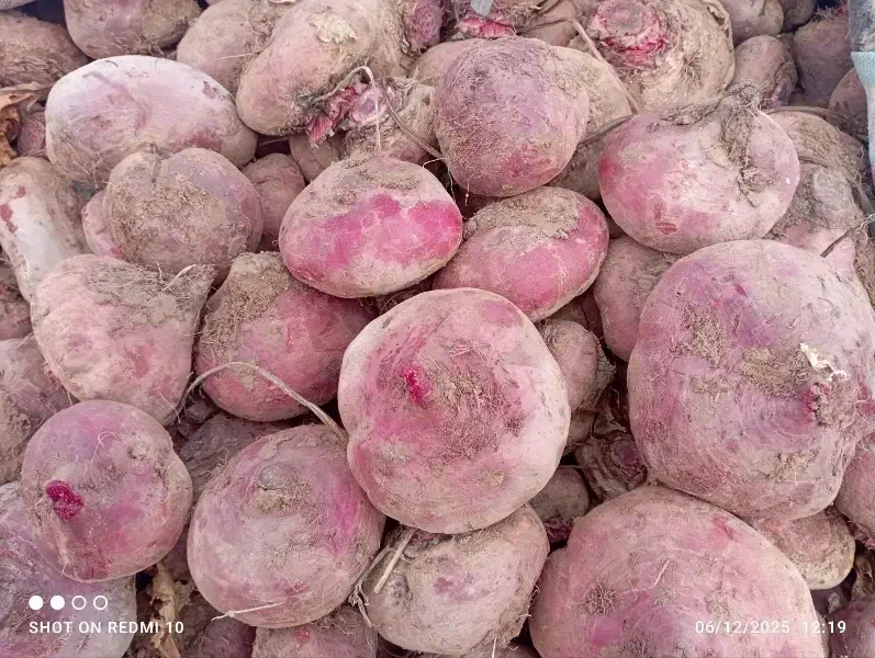 لبو|خوردنی و آشامیدنی|دشتابی, |دیوار