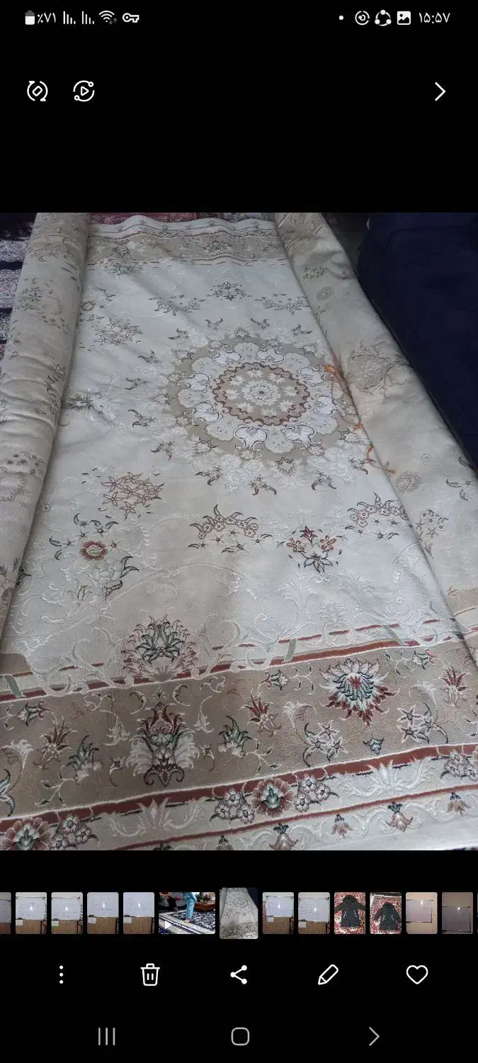 فرش ۱۲متری مشهد|فرش|سنندج, |دیوار