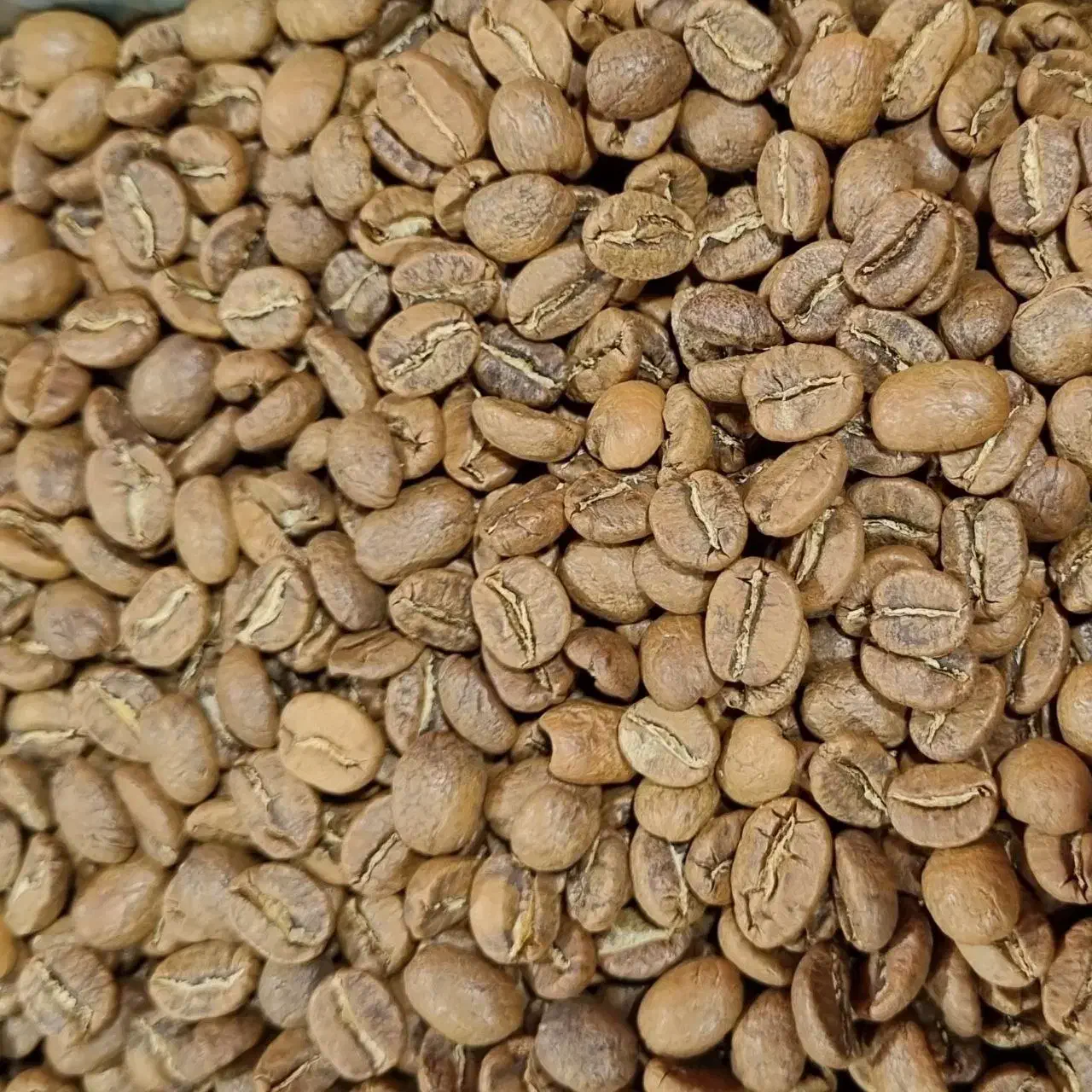 پخش دان قهوه کلاسیک(عمده) (جزئی)|عمدهفروشی|کرج, شهرک طالقانی|دیوار