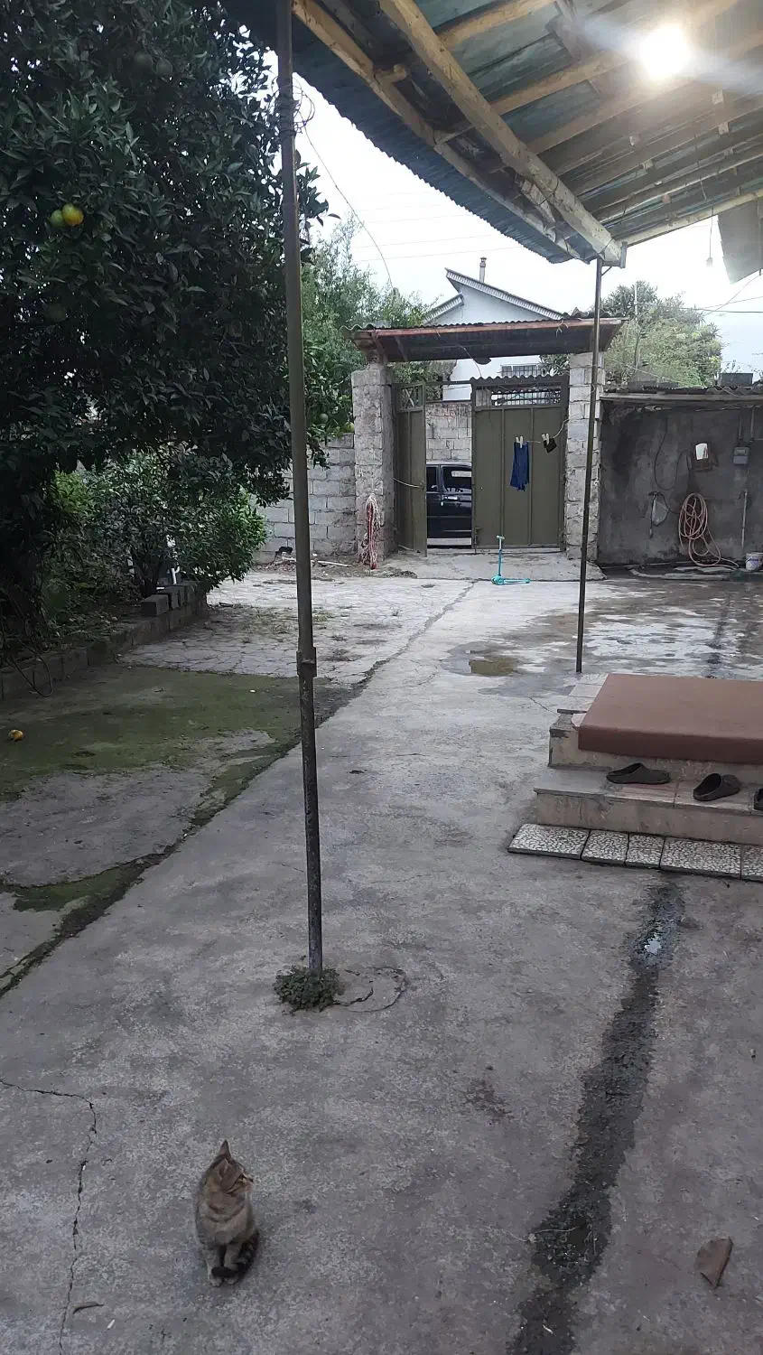 خونه باغ|فروش خانه و ویلا|دابودشت, |دیوار