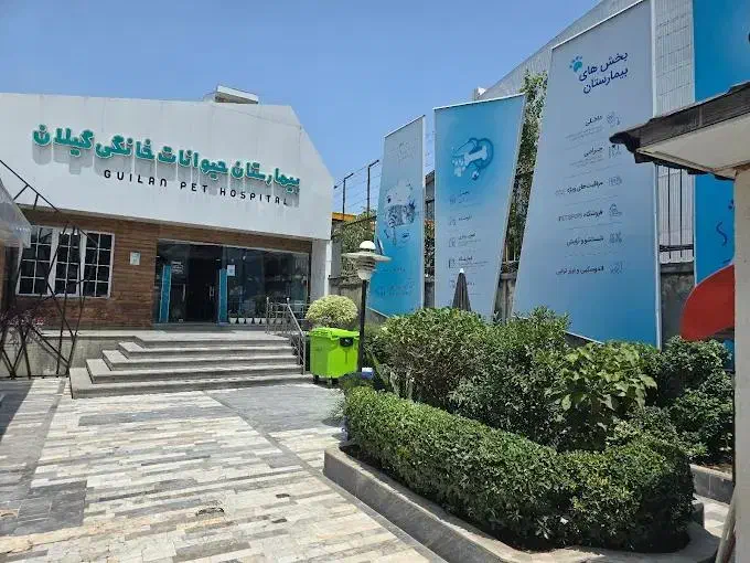 نیروی پذیرش خانم و آقا در گیلان پت|استخدام اداری و مدیریت|رشت, گلسار|دیوار