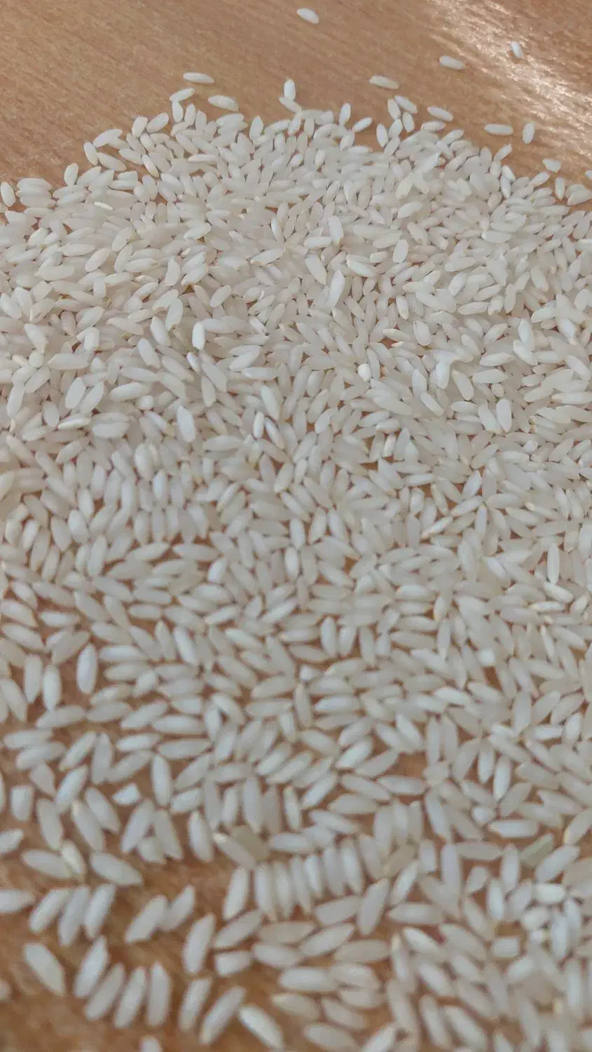 برنج عنبر بو|خوردنی و آشامیدنی|شوشتر, |دیوار