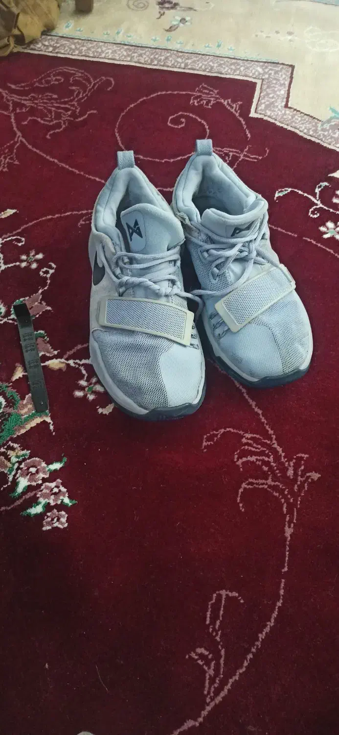 کفش|کیف، کفش، کمربند|ایوان, |دیوار