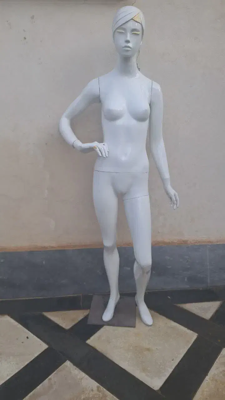 اتاق پرو .رگال ۰ قفسه و مانکن وویترین و گیره لباس|فروشگاه و مغازه|تنکمان, |دیوار