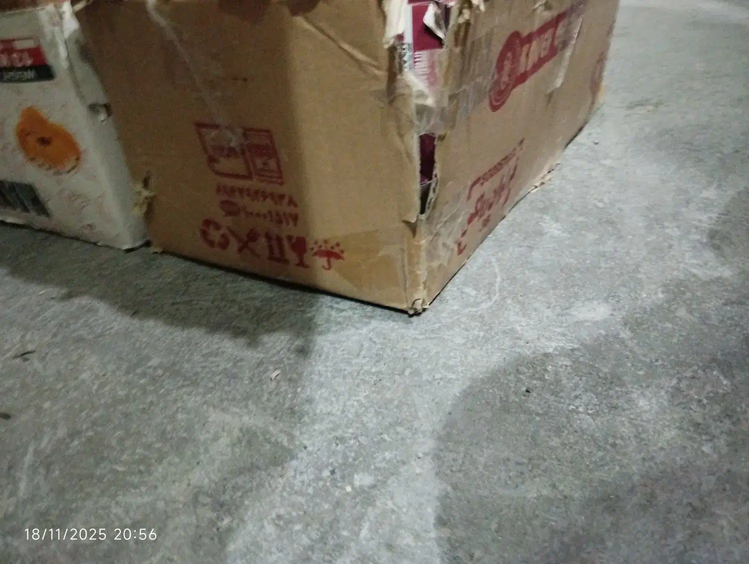 گمشده مژدگانی|اشیا|بیرجند, |دیوار