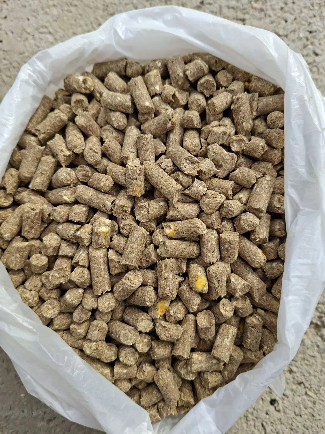 خوراک دام پرواری گوسفندی|لوازم جانبی حیوانات|شیراز, شهرک صنعتی شیراز|دیوار