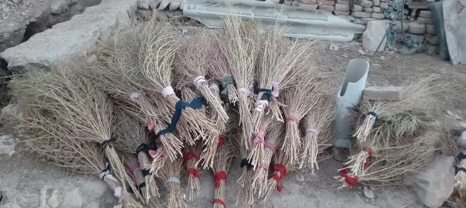 جارو|لوازم نظافت|خرم‌آباد, |دیوار