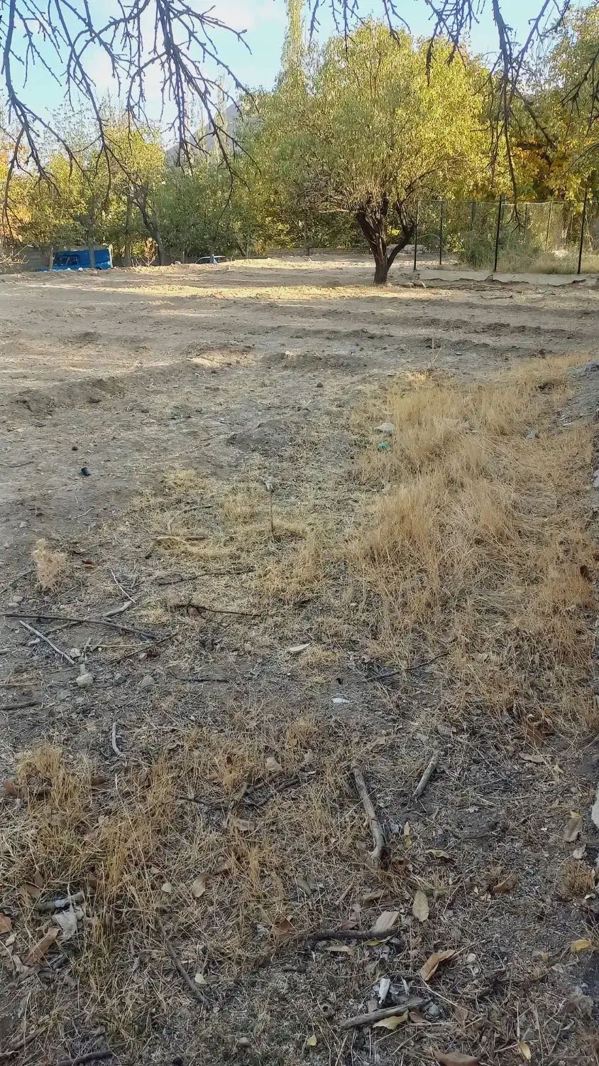 زمین باغ بر جاده|فروش زمین و ملک کلنگی|برزک, |دیوار