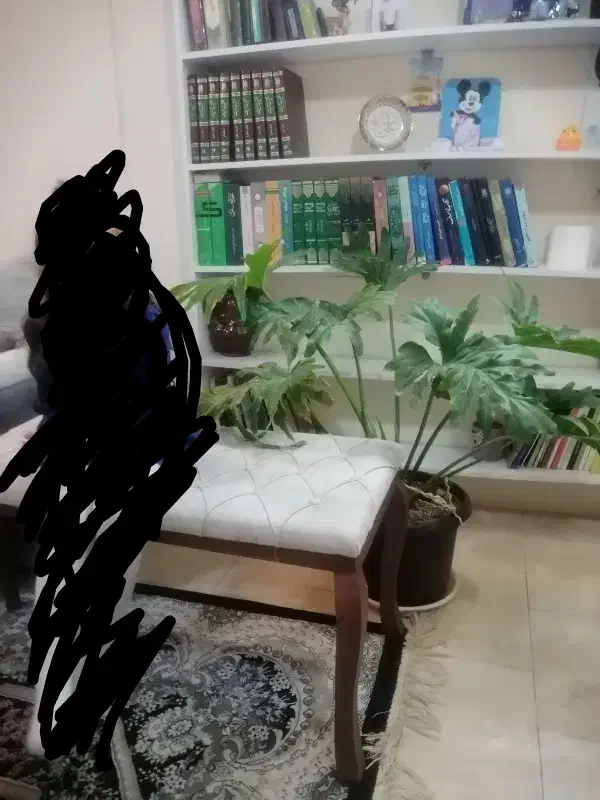 شلف یا کتاب خونه|کتابخانه، شلف، قفسه‌های دیواری|مشهد, چهارچشمه|دیوار