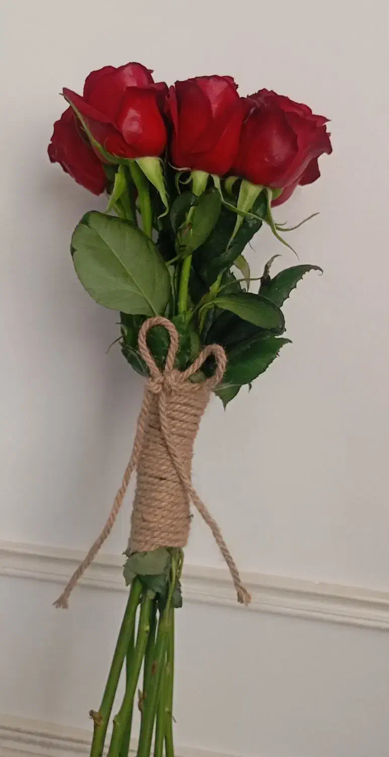 گل رز هلندی|گل و گیاه طبیعی|رباط‌کریم, مسکن مهر آبشناسان|دیوار