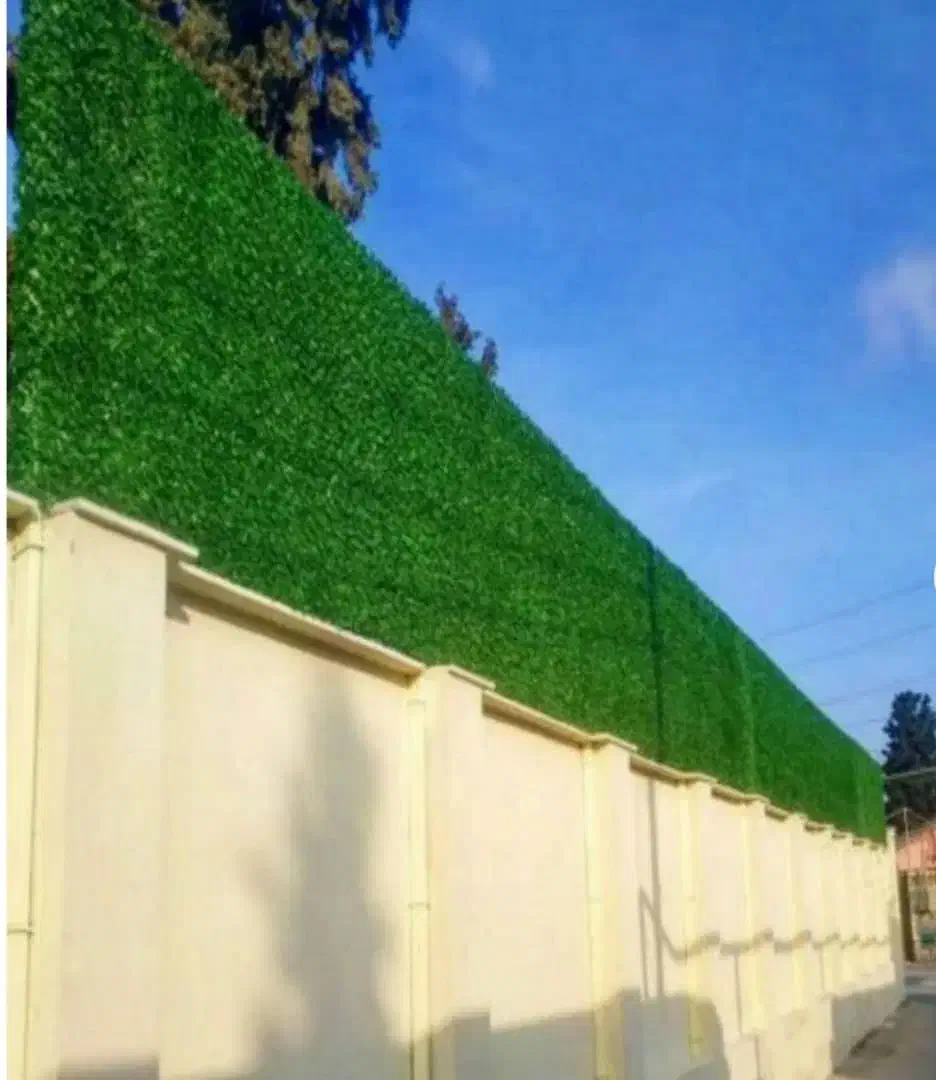 فنس برگی و فنس چمنی|مصالح و تجهیزات ساختمان|خرم‌آباد, |دیوار