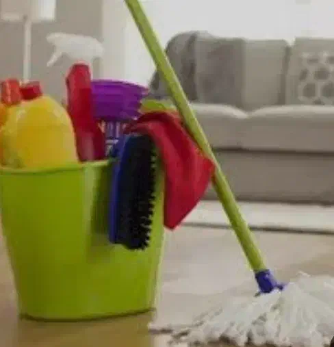 نیروی خانم برای تمیزکاری و نظافت منزل و محل کار|خدمات نظافت|ابریشم, |دیوار