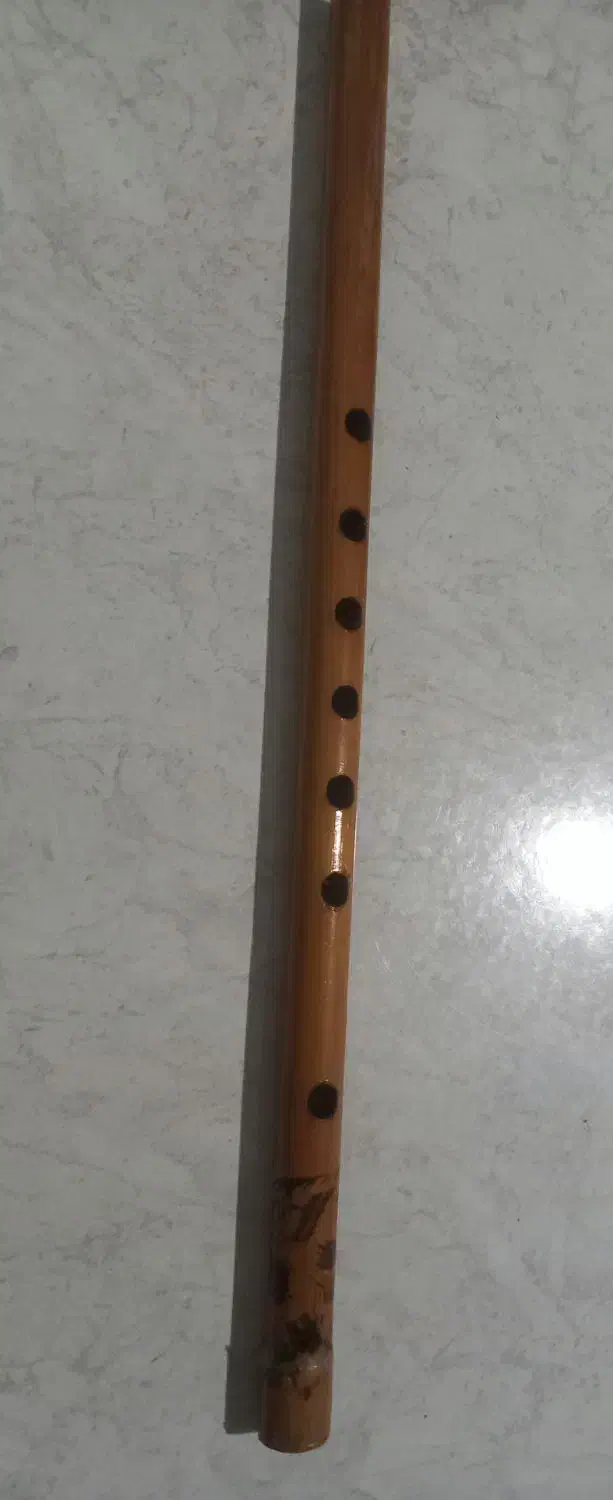 ساز نی (فلوت)|سازهای بادی|خوی, |دیوار