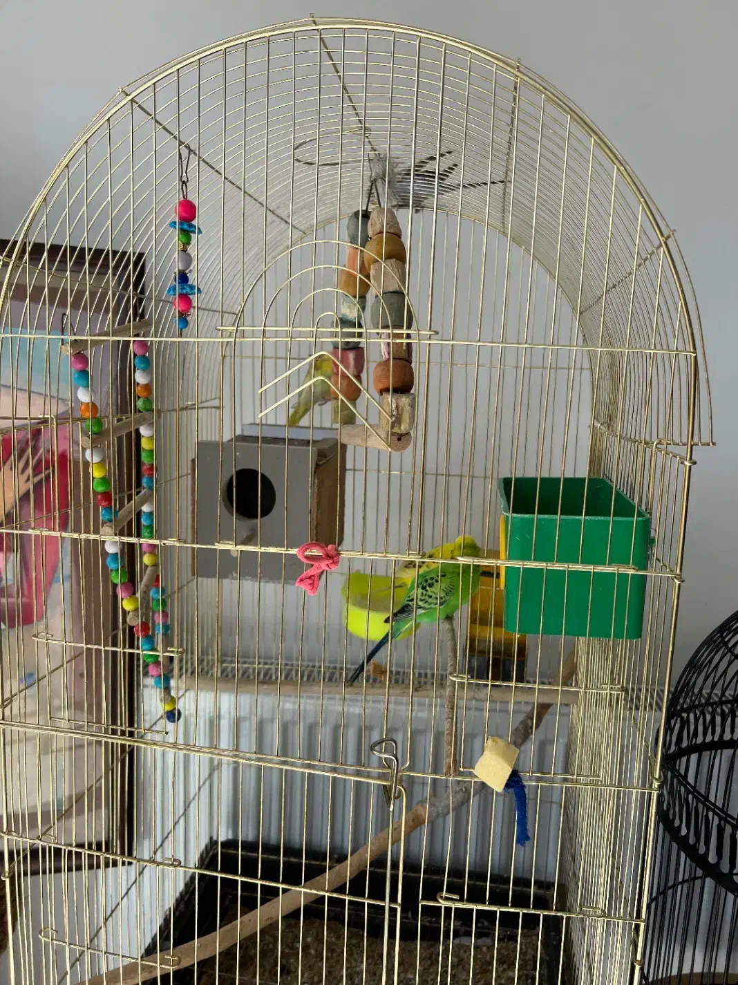 قفس پرنده|لوازم جانبی حیوانات|اصفهان, مهرآباد|دیوار