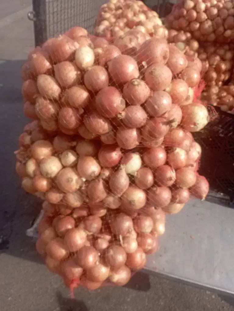 پیاز|عمدهفروشی|دورود, |دیوار