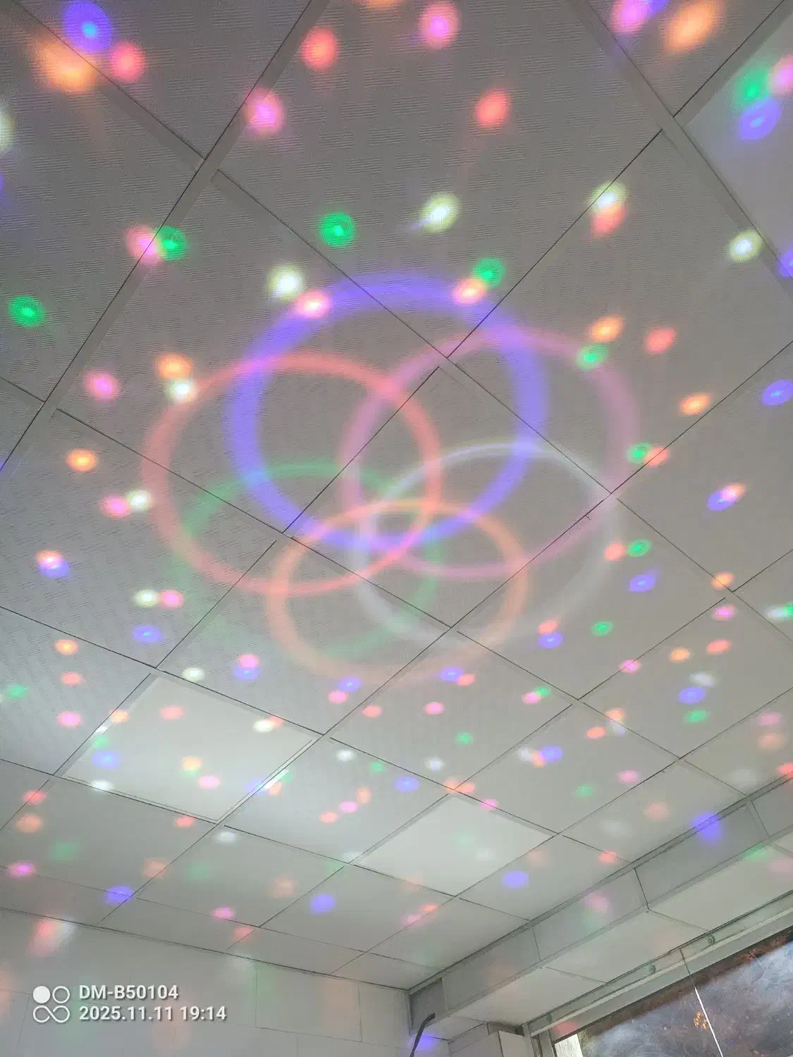 چراغ دیسکو موزیکال|لوستر و چراغ آویز|کرمان, |دیوار