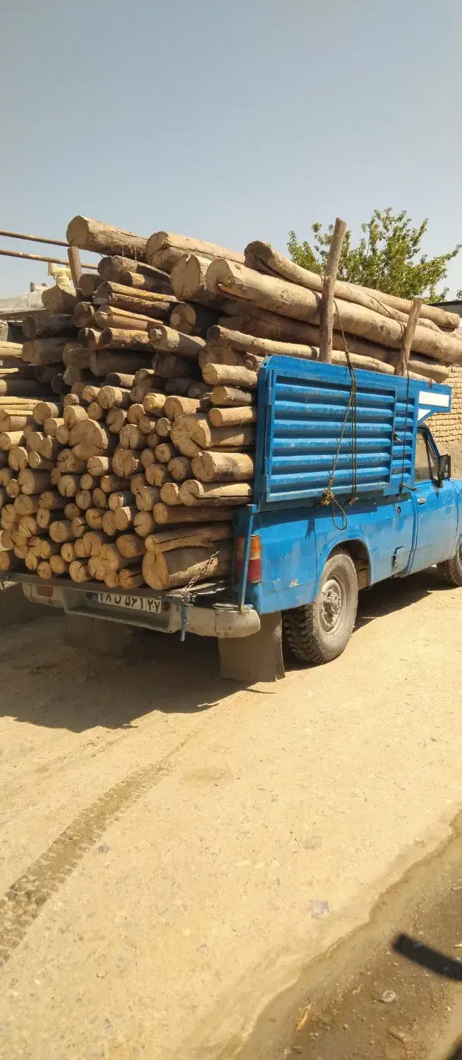 خریدهمه مدل چوب درخت وریشه سیب هیزم|خدمات باغبانی و درختکاری|شاهین دژ, |دیوار