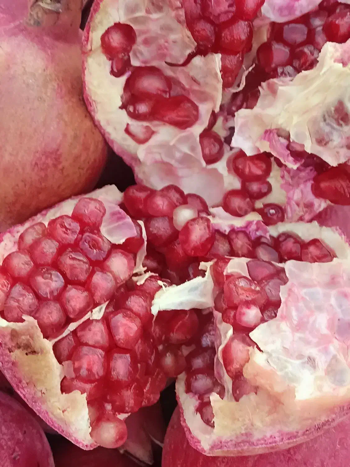 فروش 3تن انار|خوردنی و آشامیدنی|حنا, |دیوار