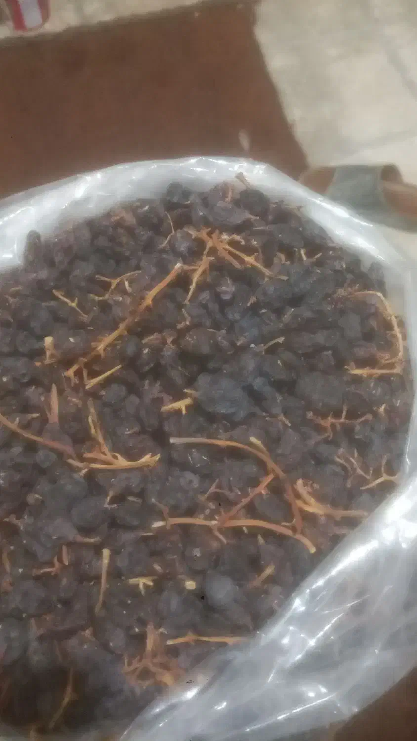 مویز|خوردنی و آشامیدنی|رستم, |دیوار