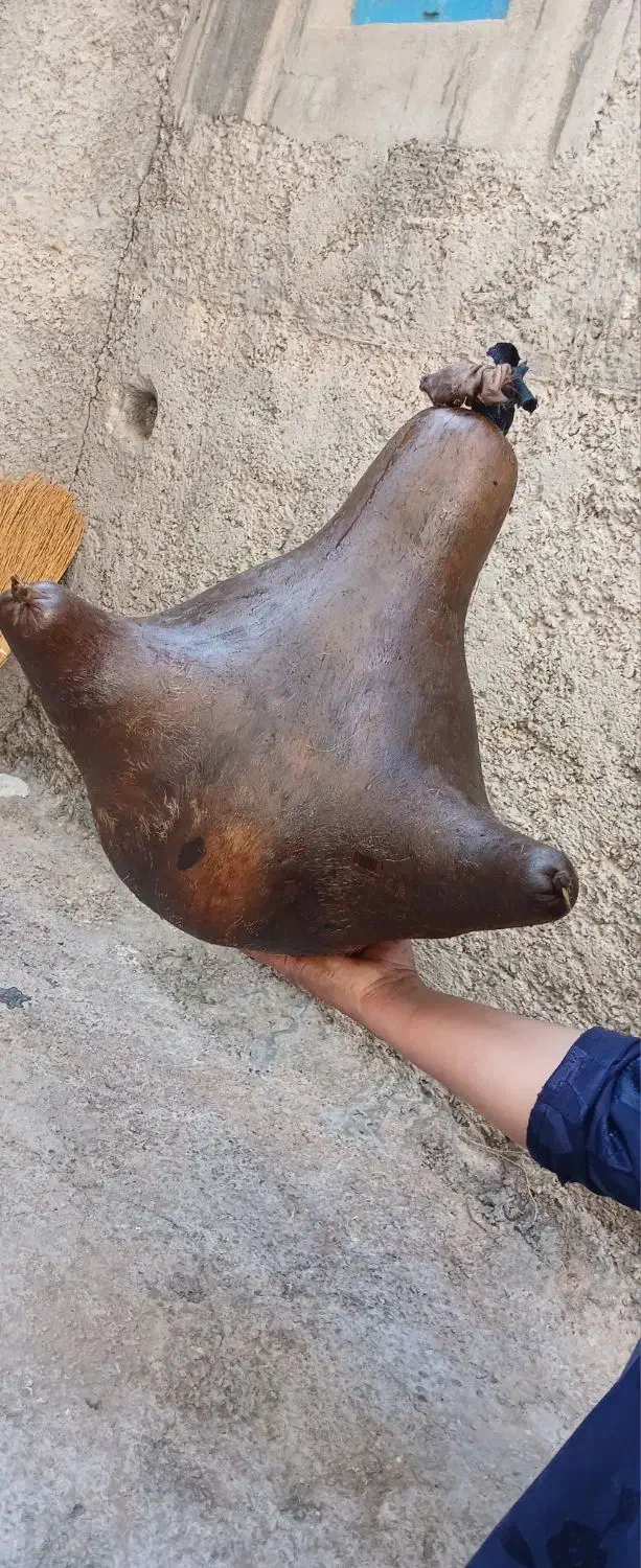 هیزه گوسفندی.سبزی خورشتیی و...|خوردنی و آشامیدنی|شباب, |دیوار