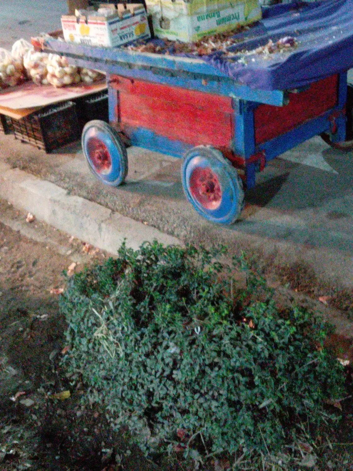 گاری قدیمی|کلکسیون اشیاء عتیقه|برخوار, |دیوار