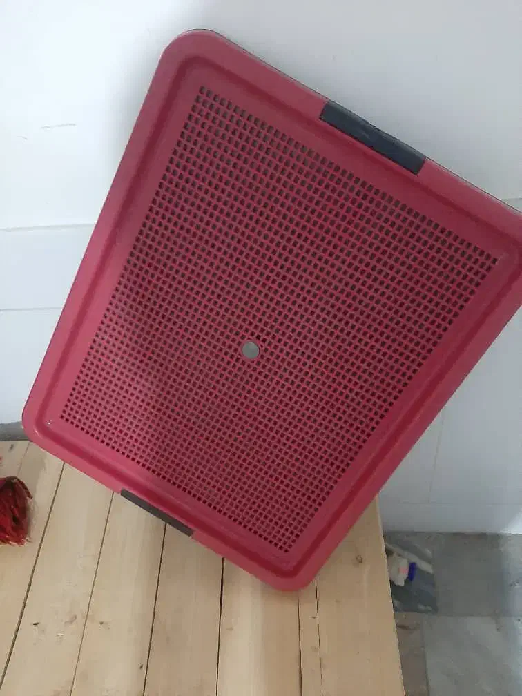 سینی ادرار حیوانات|لوازم جانبی حیوانات|دلیجان, |دیوار