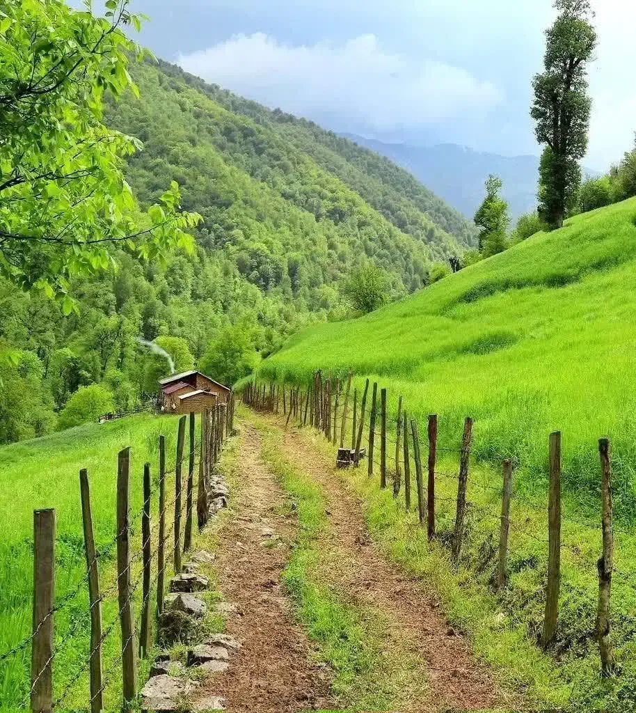 وام خانگی|فعالیت داوطلبانه|قم, شهر قائم|دیوار