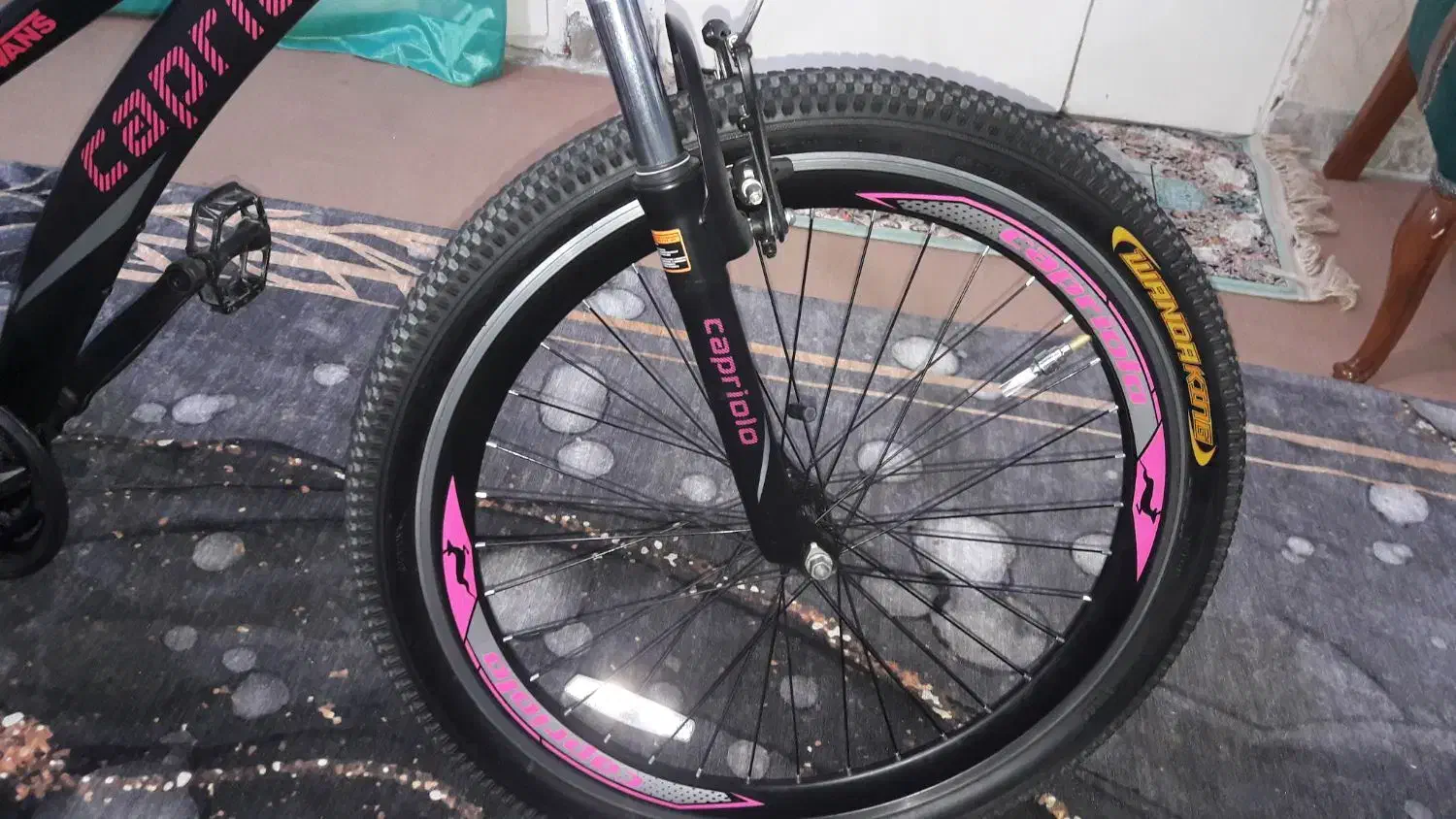 دوچرخه در حد نو مدل ونوس سایز ۲۴|دوچرخه، اسکیت، اسکوتر|گلستان (تهران), |دیوار