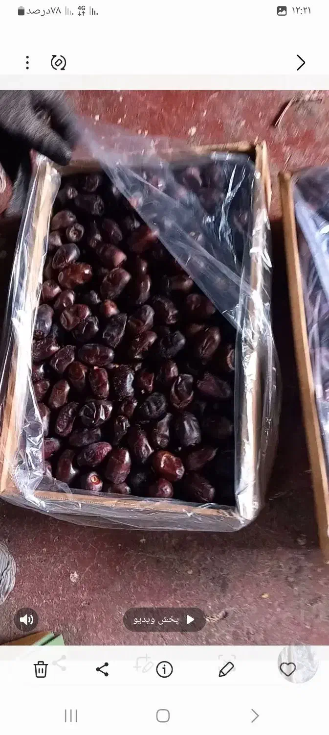 خرما مضافتی|عمدهفروشی|فلاورجان, |دیوار