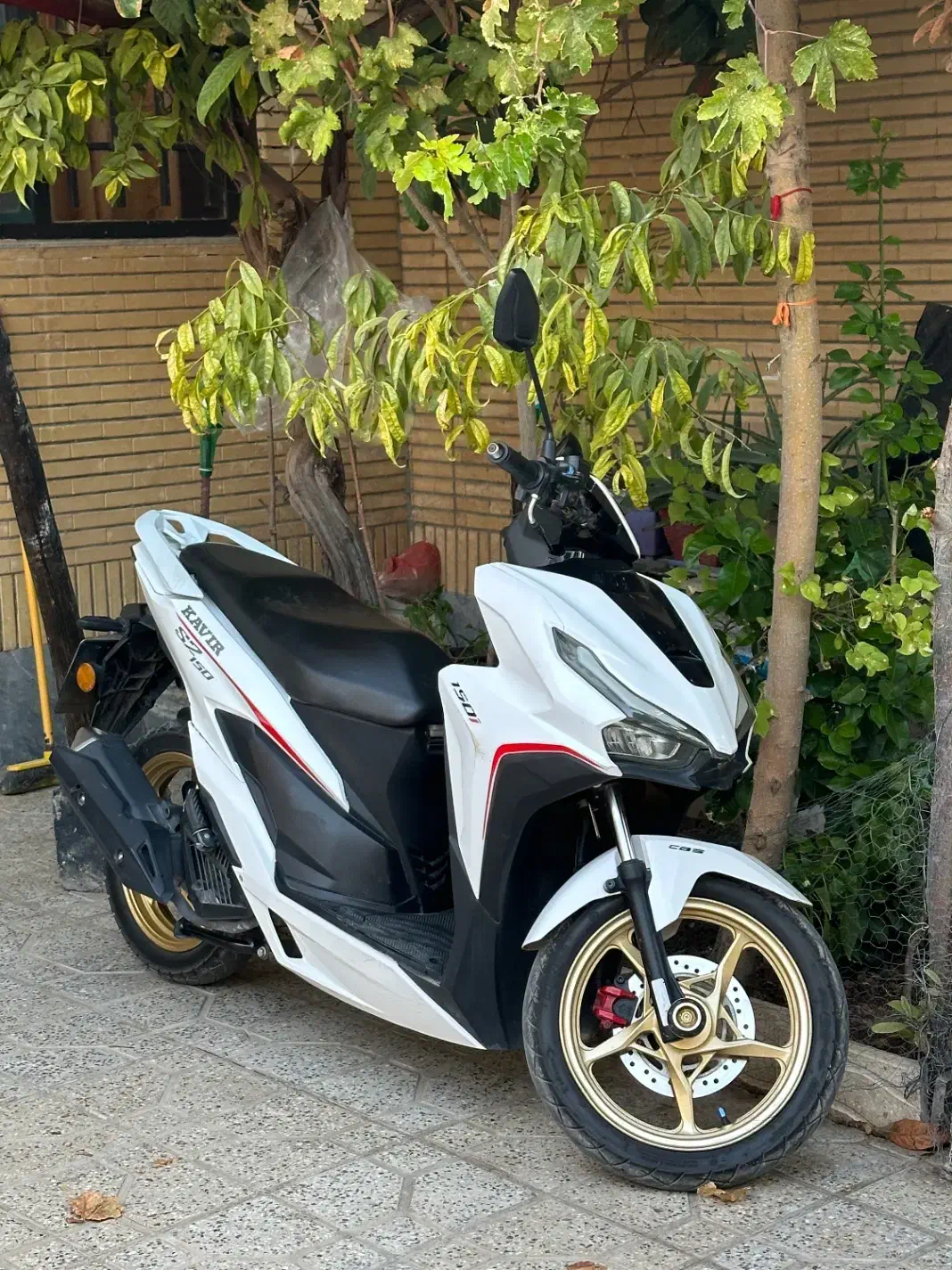 موتور کلیک نیوفیس۱۴۰۱|موتورسیکلت|شاهینشهر, مخابرات (شهید بهشتی)|دیوار