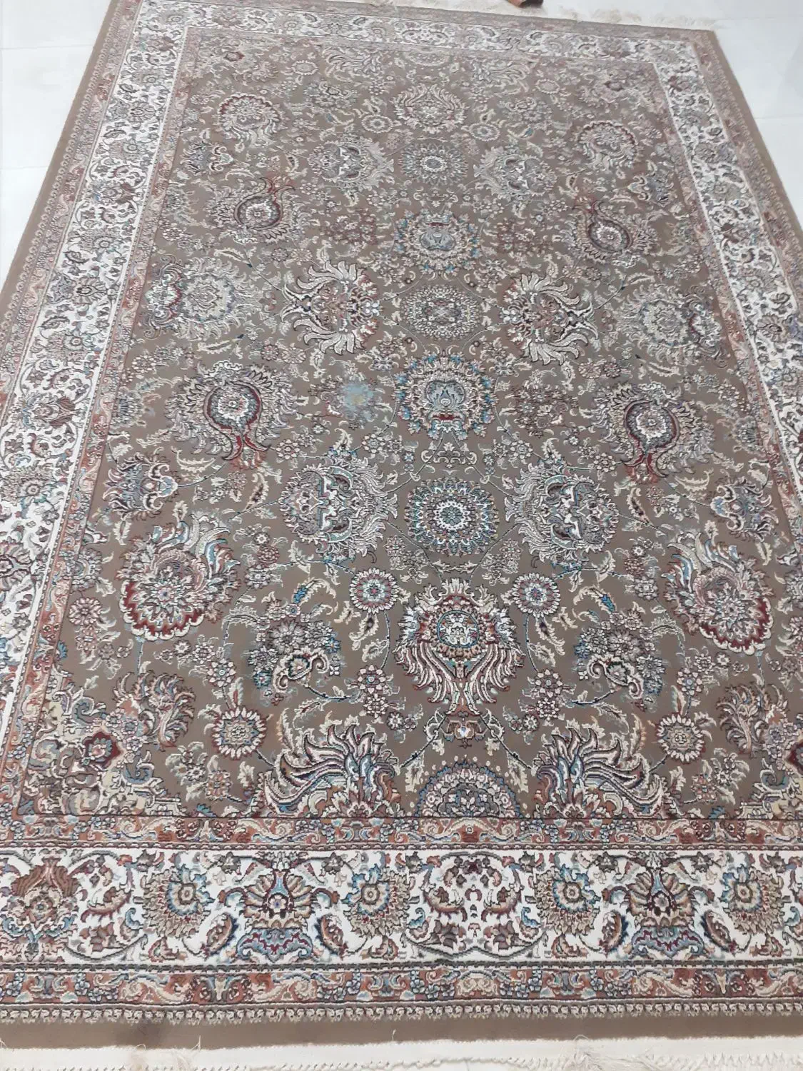 فرش ماشینی|فرش|رشت, سلیمانداراب|دیوار