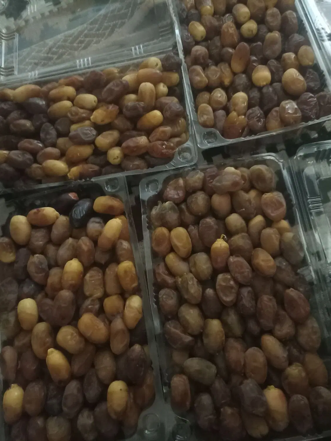 رطب|خوردنی و آشامیدنی|بندر دیر, |دیوار