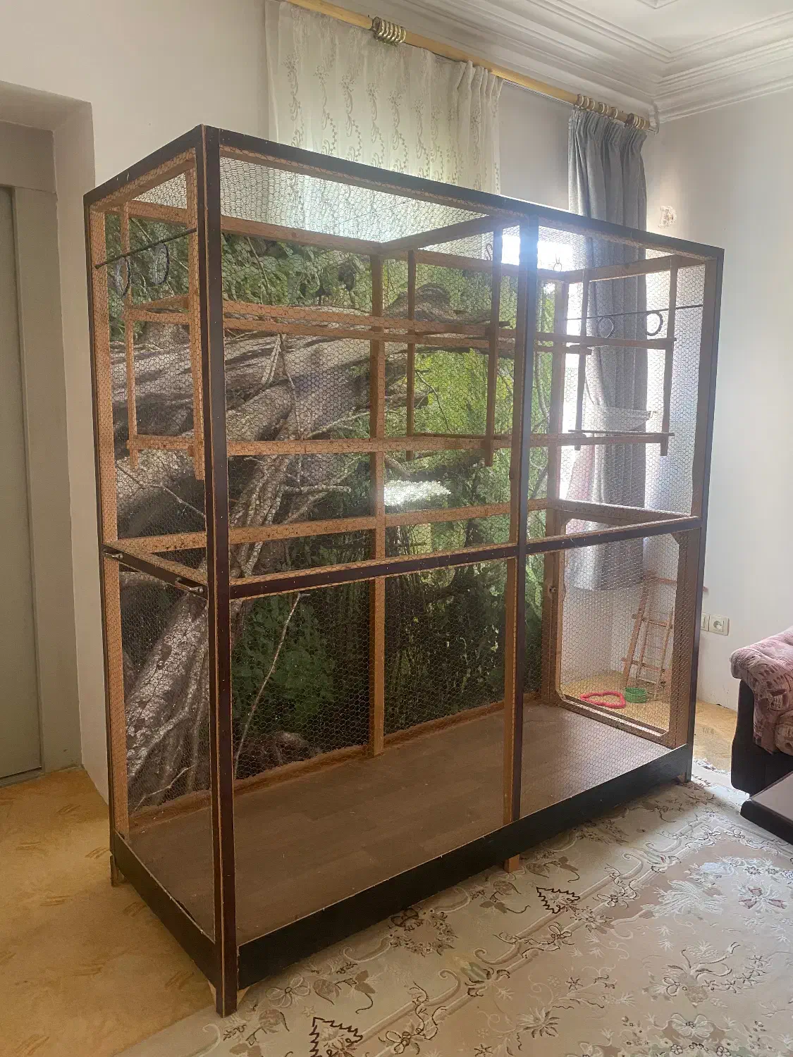 قفس پرندگان|لوازم جانبی حیوانات|لاهیجان, رجایی|دیوار