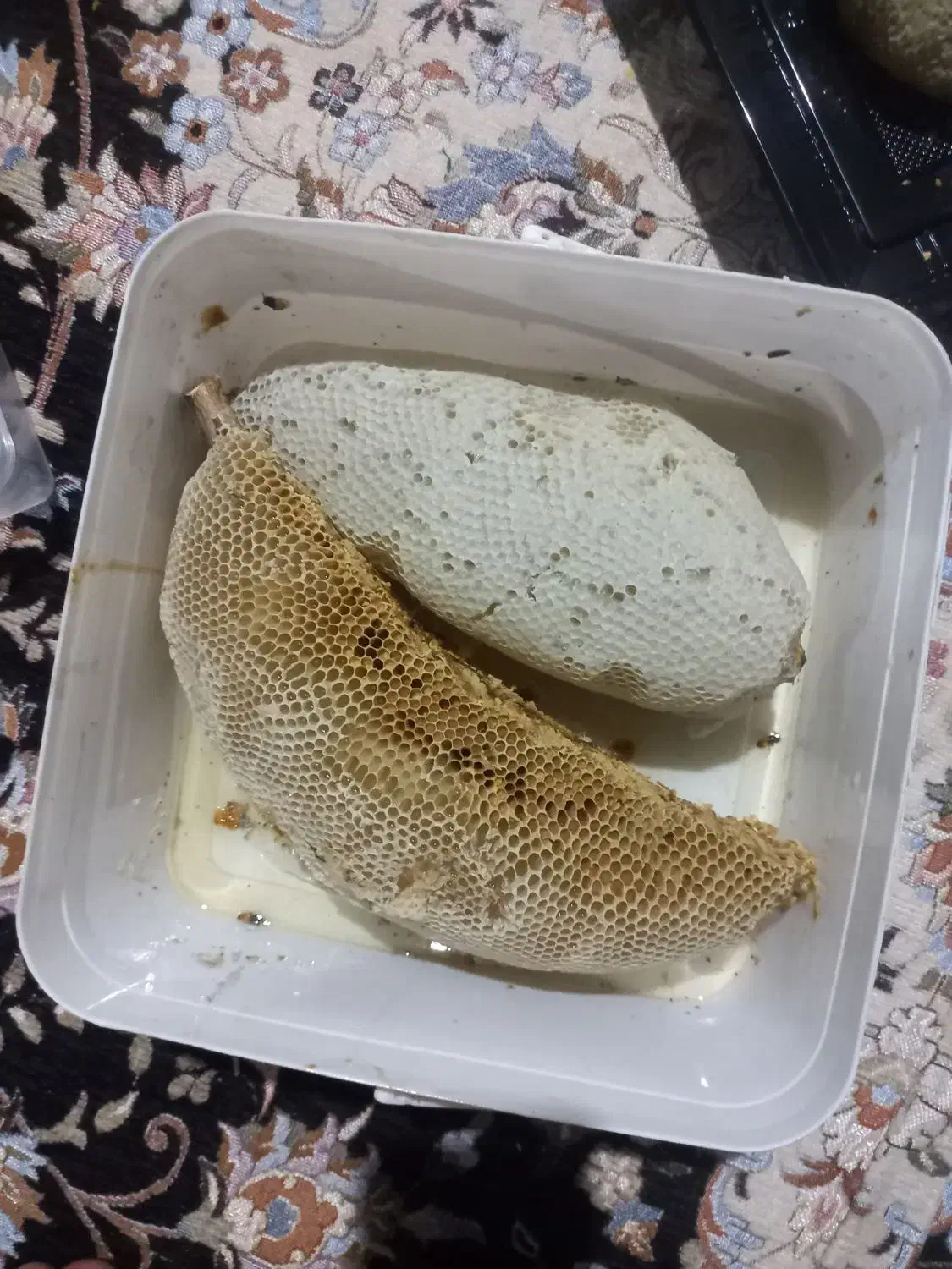 عسل وحشی|خوردنی و آشامیدنی|میناب, |دیوار