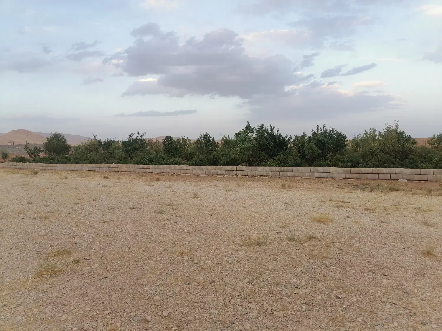 همیاری|فعالیت داوطلبانه|میمه, |دیوار