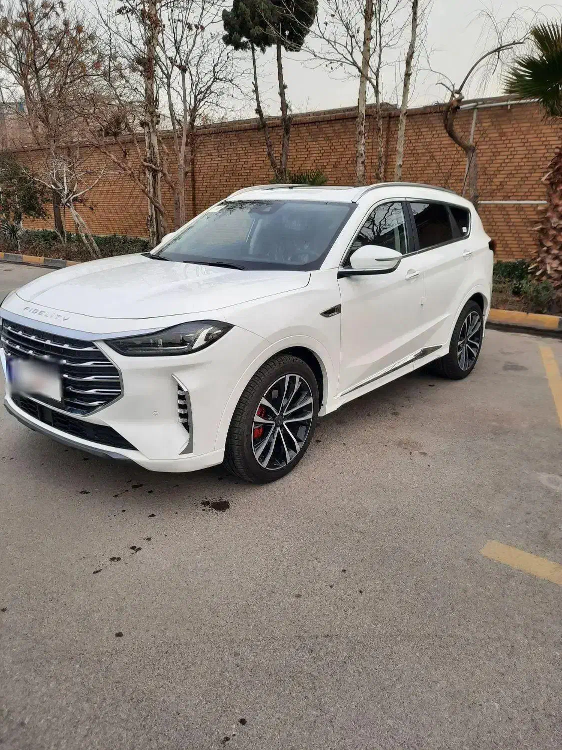 فیدیلیتی پرستیژ|خودرو سواری و وانت|تهران, درختی|دیوار