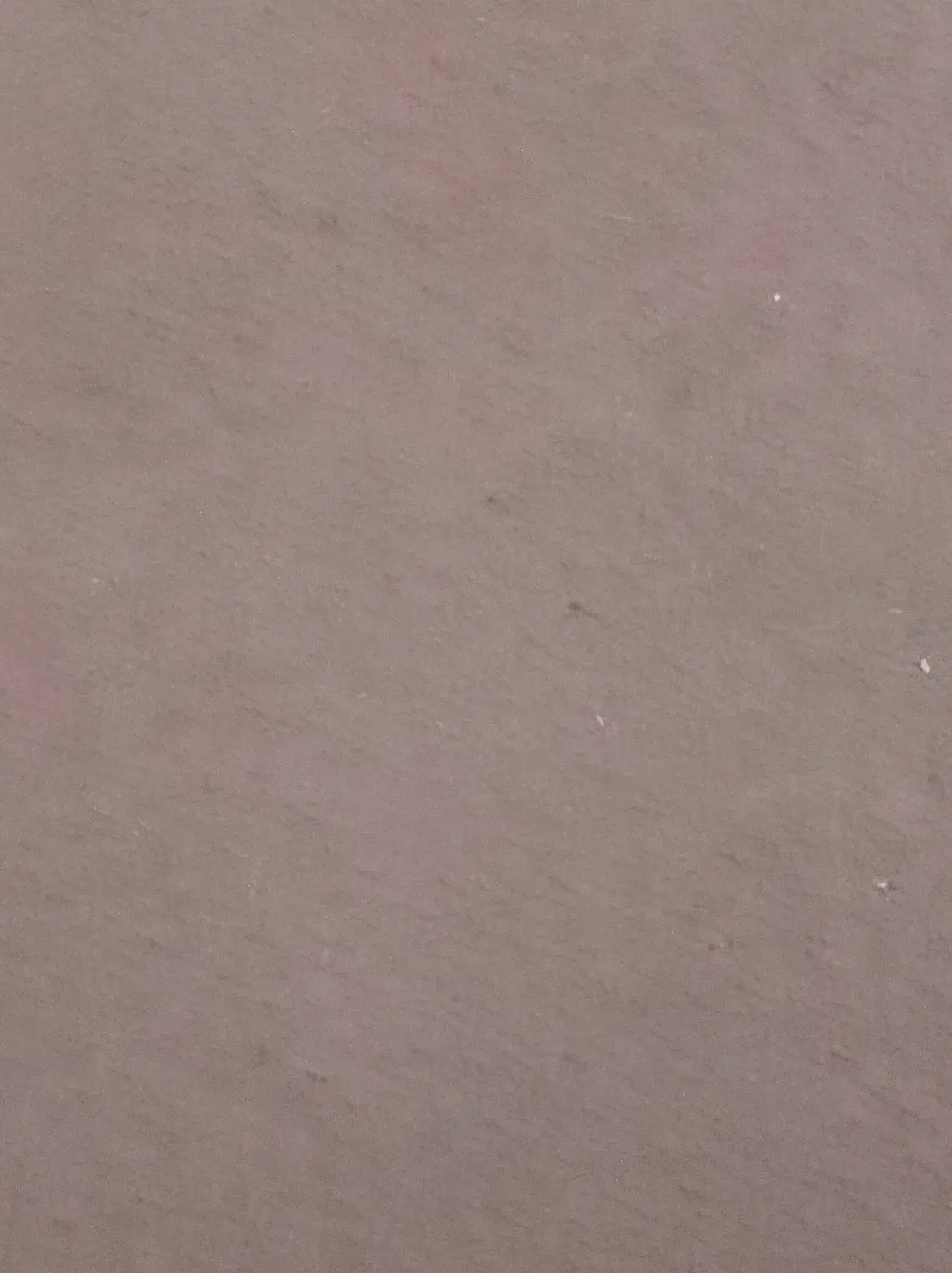 نظافت انجام می دهم|خدمات نظافت|بوشهر, |دیوار